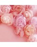 Clover 57-552 玫瑰花型模板